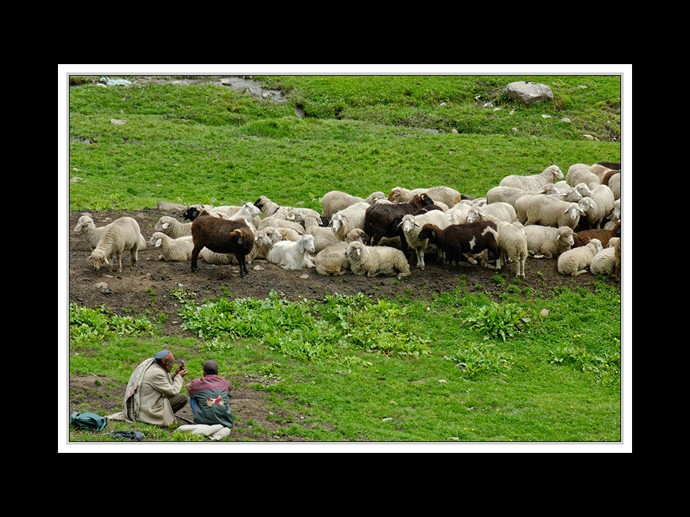 Von Keylang nach Manali 06