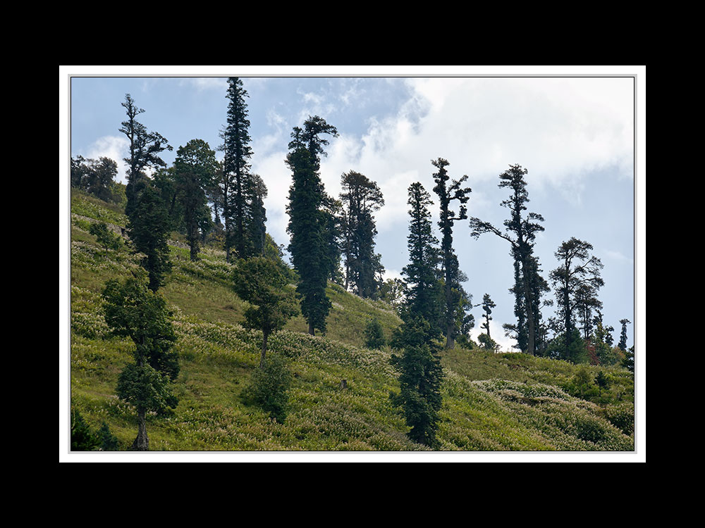 Von Keylang nach Manali 09