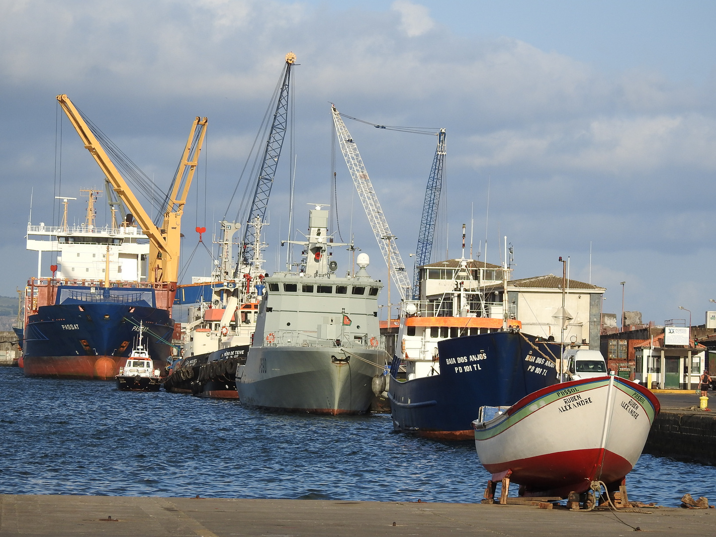 Von Klein bis Groß in Ponta Delgada