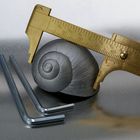 von kleinen häusern-technoschnecke...