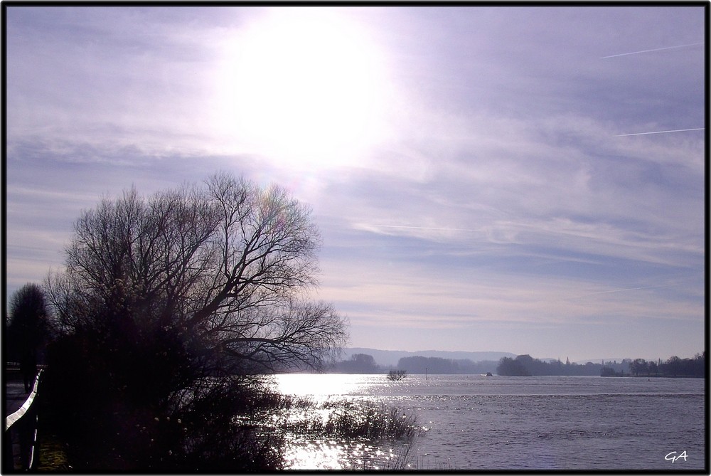 Von Königswinter nach Linz (rechtsrheinisch) Januar 2008 2