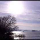 Von Königswinter nach Linz (rechtsrheinisch) Januar 2008 2