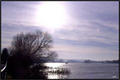 Von Königswinter nach Linz (rechtsrheinisch) Januar 2008 2