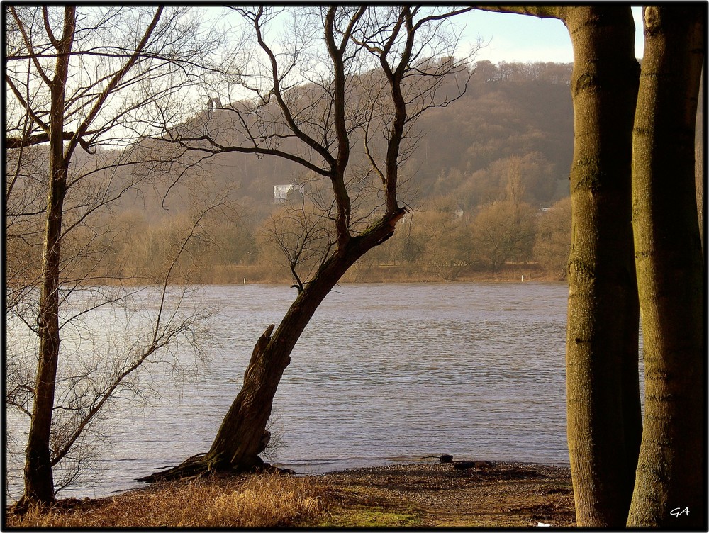 Von Königswinter nach Linz (rechtsrheinisch) Januar 2008 3