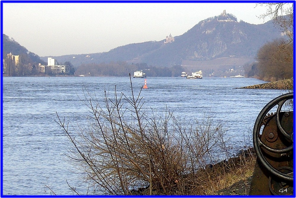 Von Königswinter nach Linz (rechtsrheinisch) Januar 2008 5