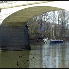 Von Königswinter nach Linz (rechtsrheinisch) Januar 2008 7