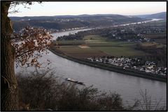 Von Königswinter nach Linz (rechtsrheinisch) Januar 2008 9