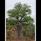 Von Kununurra nach Alice Springs 01