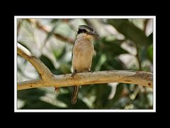 Von Kununurra nach Alice Springs 18