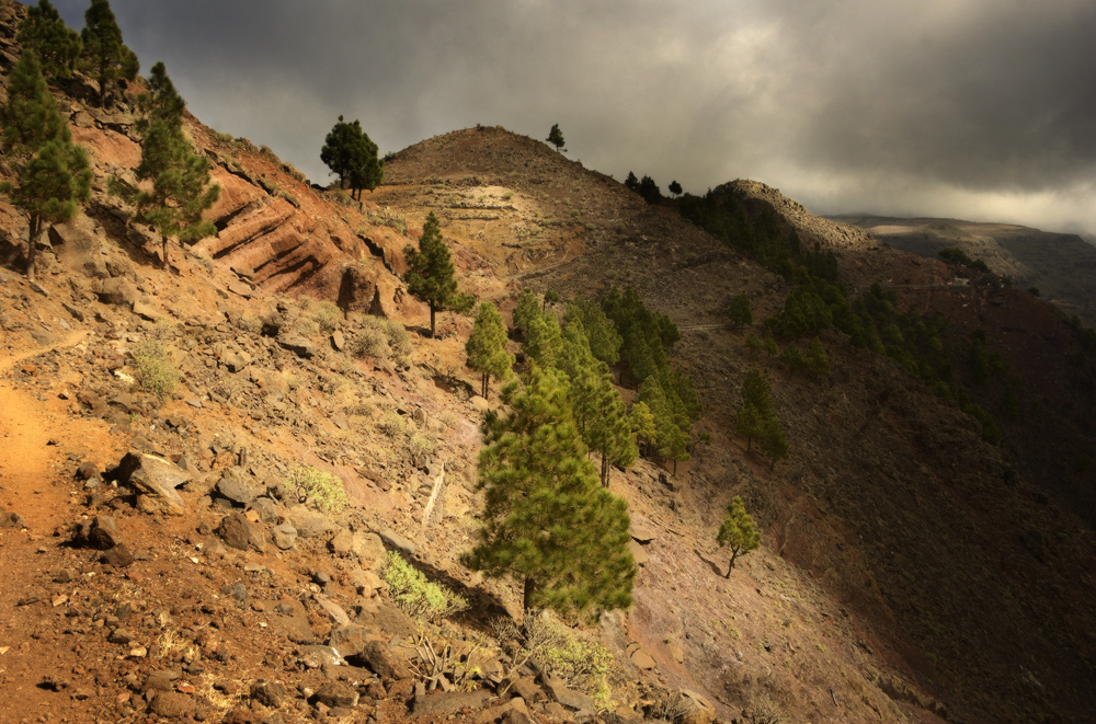 von La Merica nach Arure, La Gomera