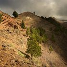 von La Merica nach Arure, La Gomera