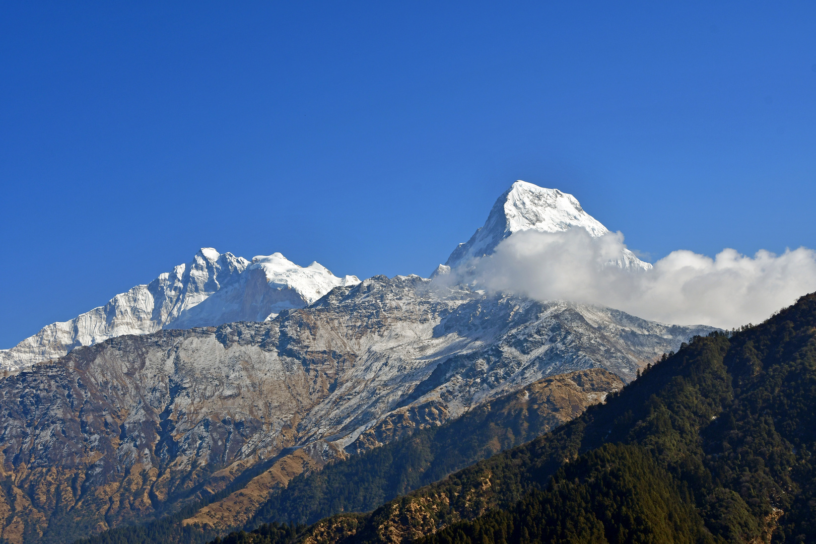 Von links Barha Chuli (7647 m), Annapurna I (8091 m) und Annapurna South (7219 m)