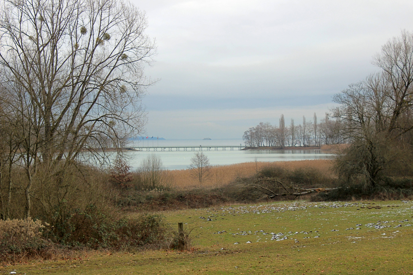 Von Litzelstetten zur Insel Mainau ...