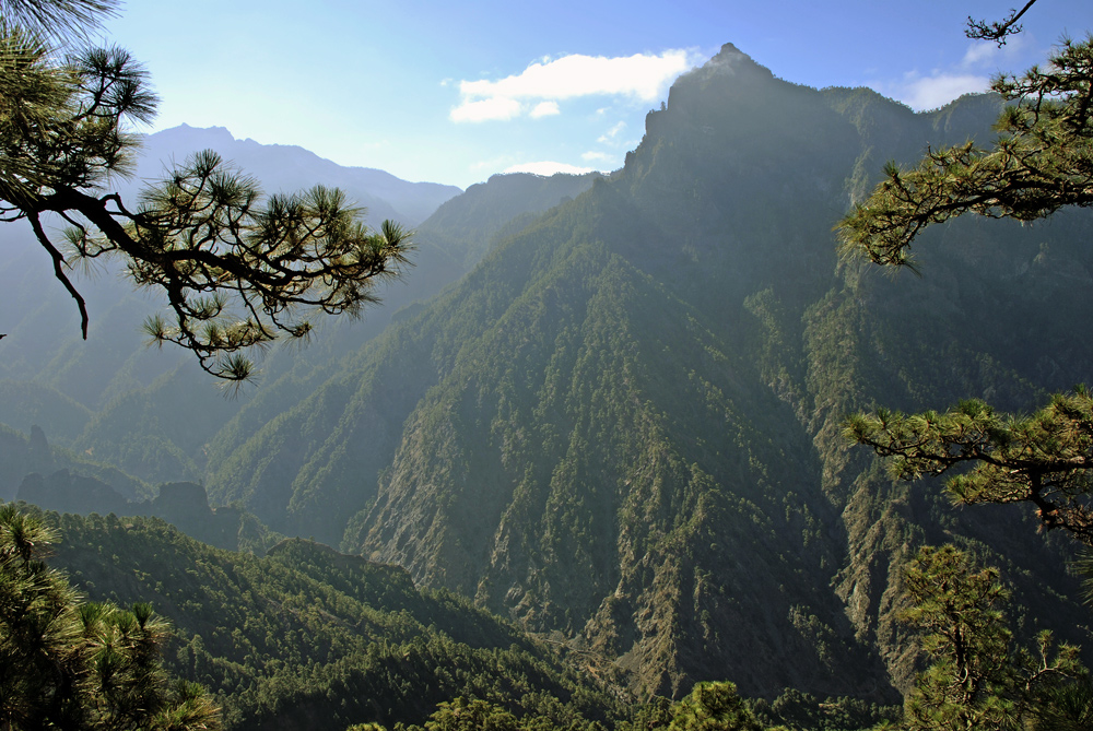 Von Los Brecitos durch die Caldera de Taburiente