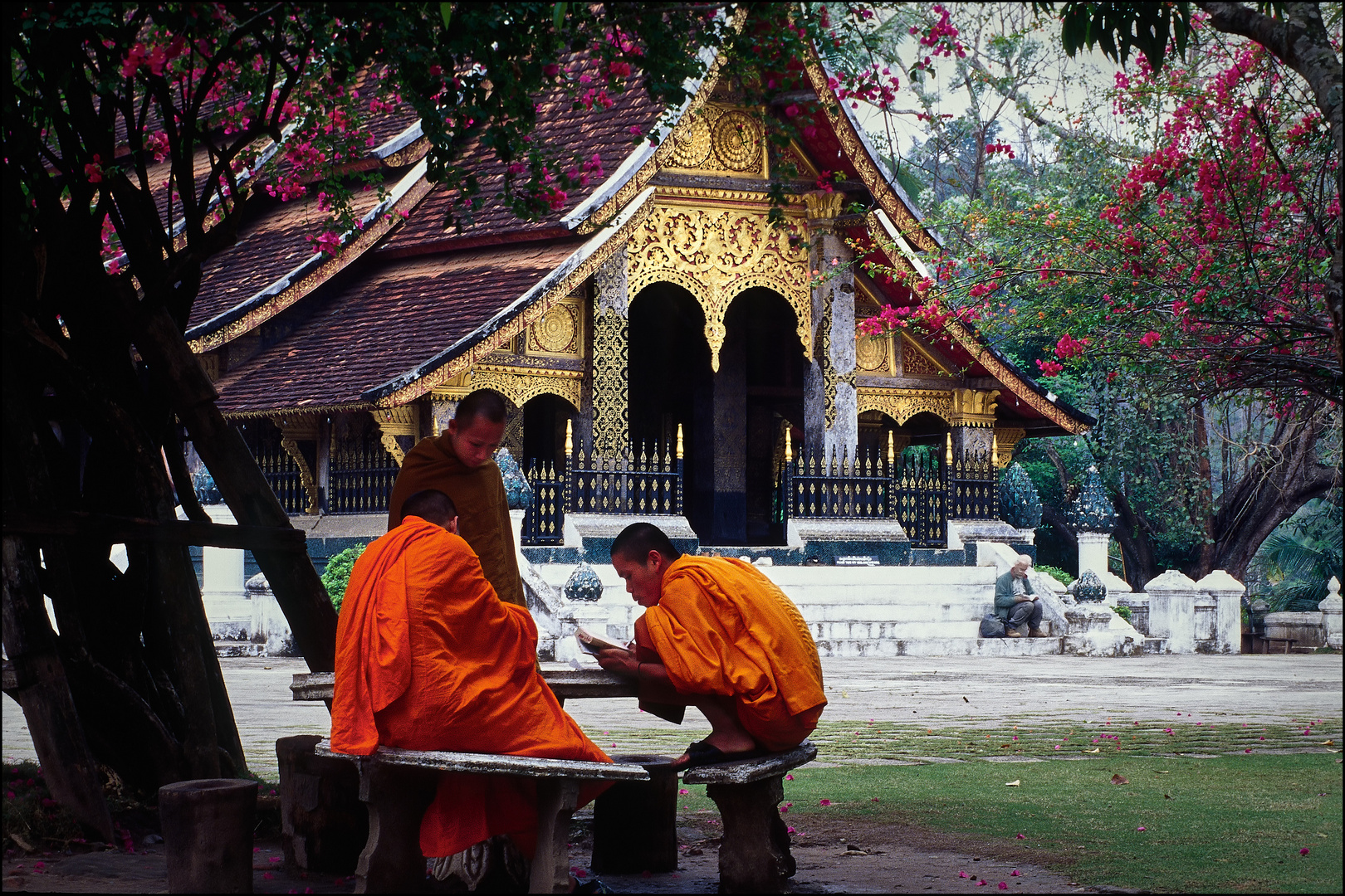 Von Luang Prabang zu den Höhlen von Pak Ou. 01