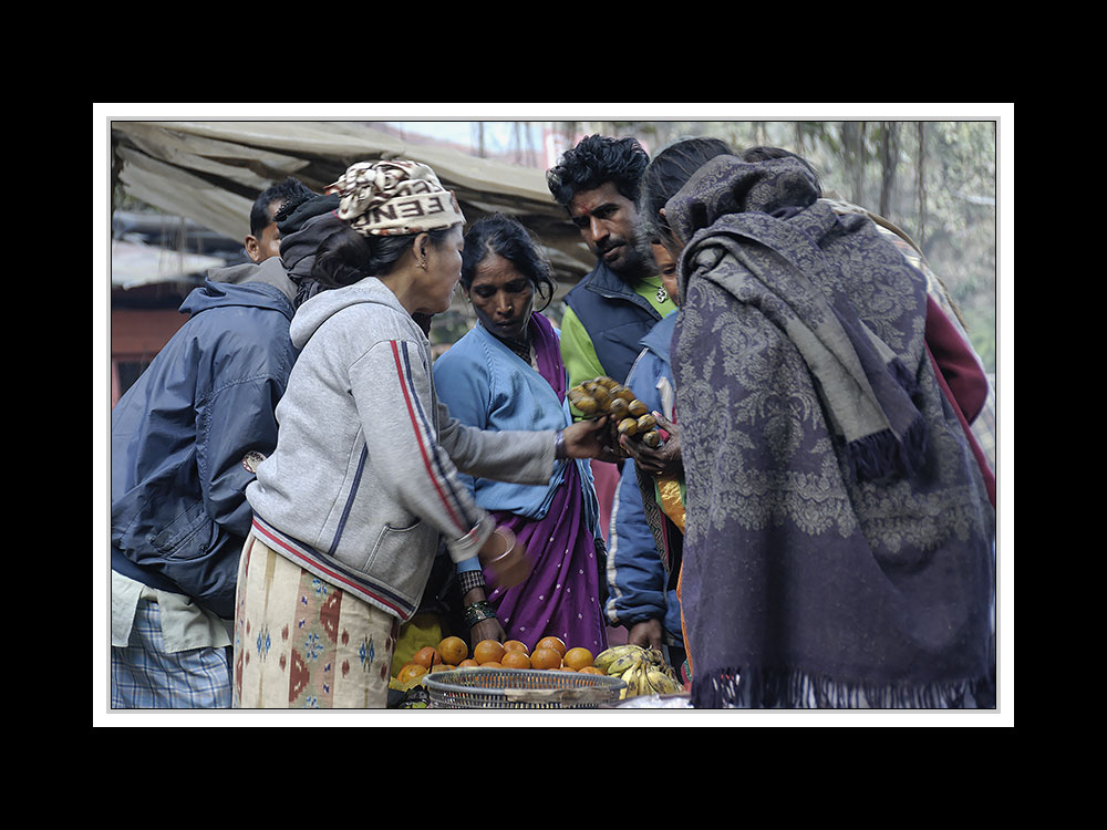 Von Lumbini nach Sauraha