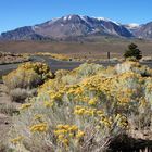 "Von Mammoth zum Mono Lake"