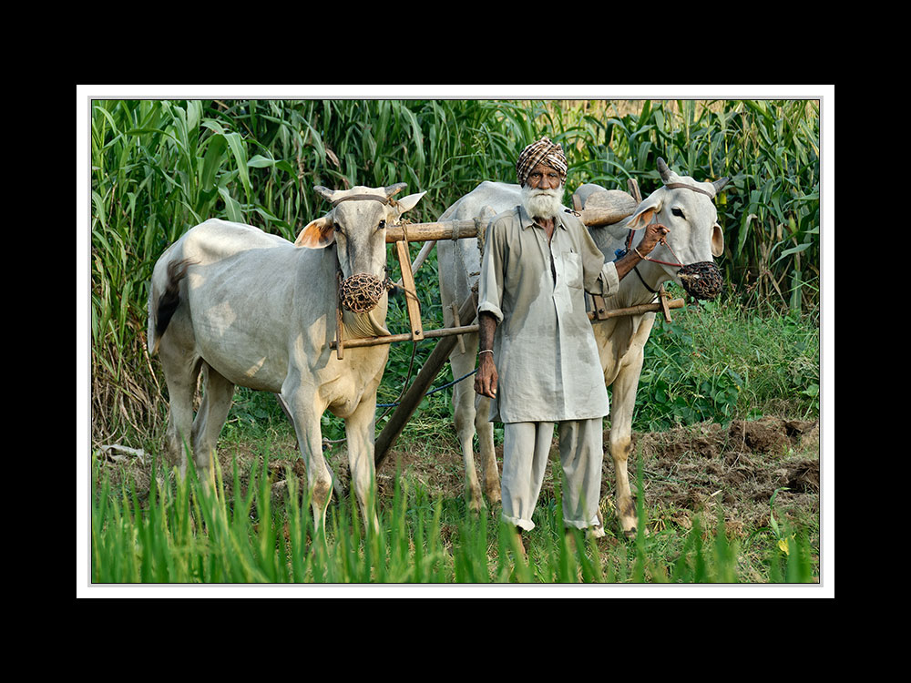 Von Manali nach Chandigarh 05