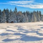 Von meinem Ausflug in den Winter