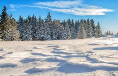 Von meinem Ausflug in den Winter