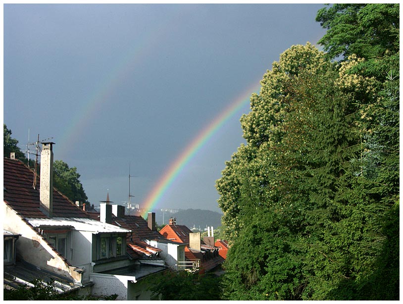  Von meinem Balkon (1)