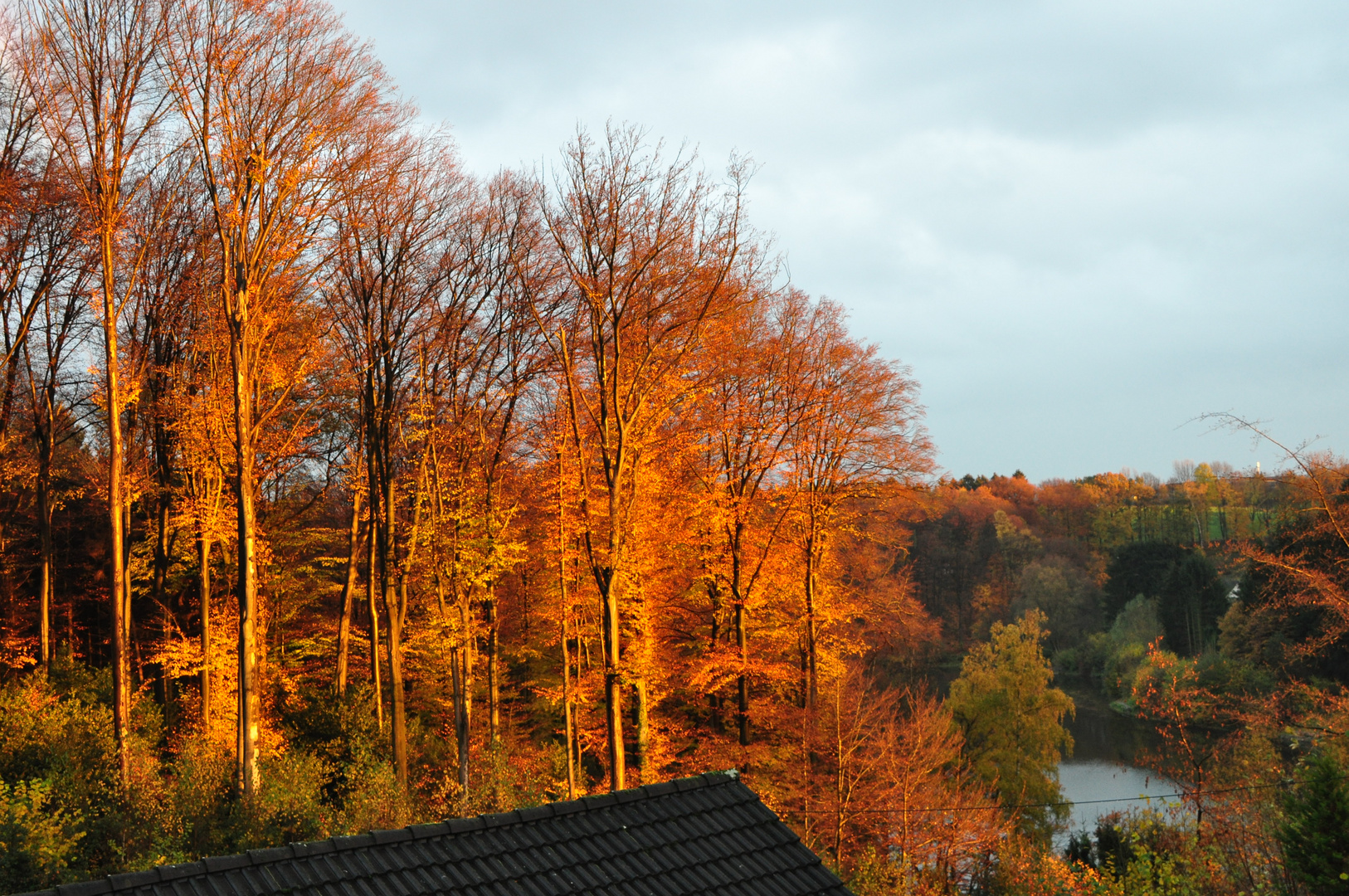 Von meinem Fenster aus !