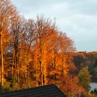 Von meinem Fenster aus !