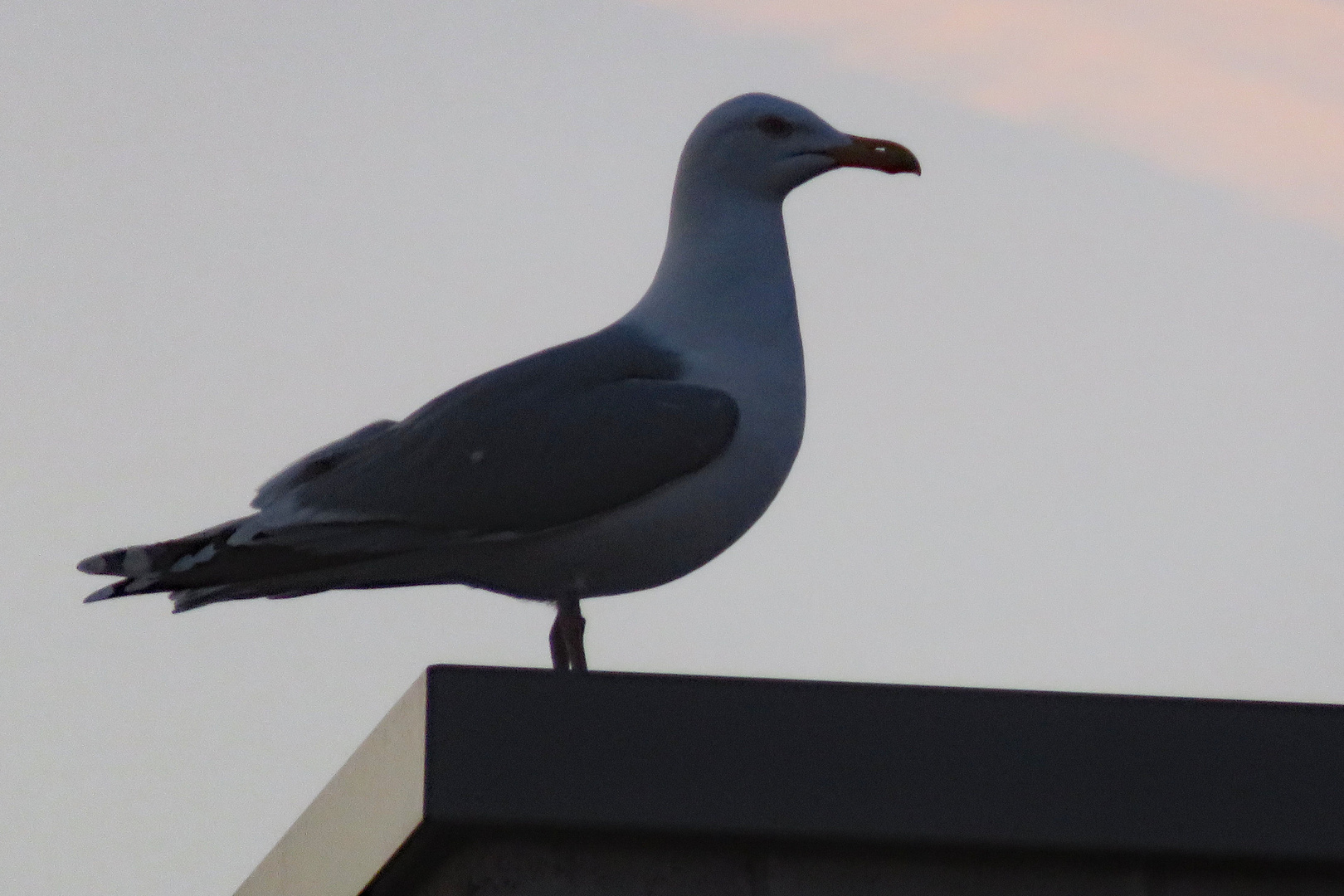 Von meiner Warte habe ich alles im Blick