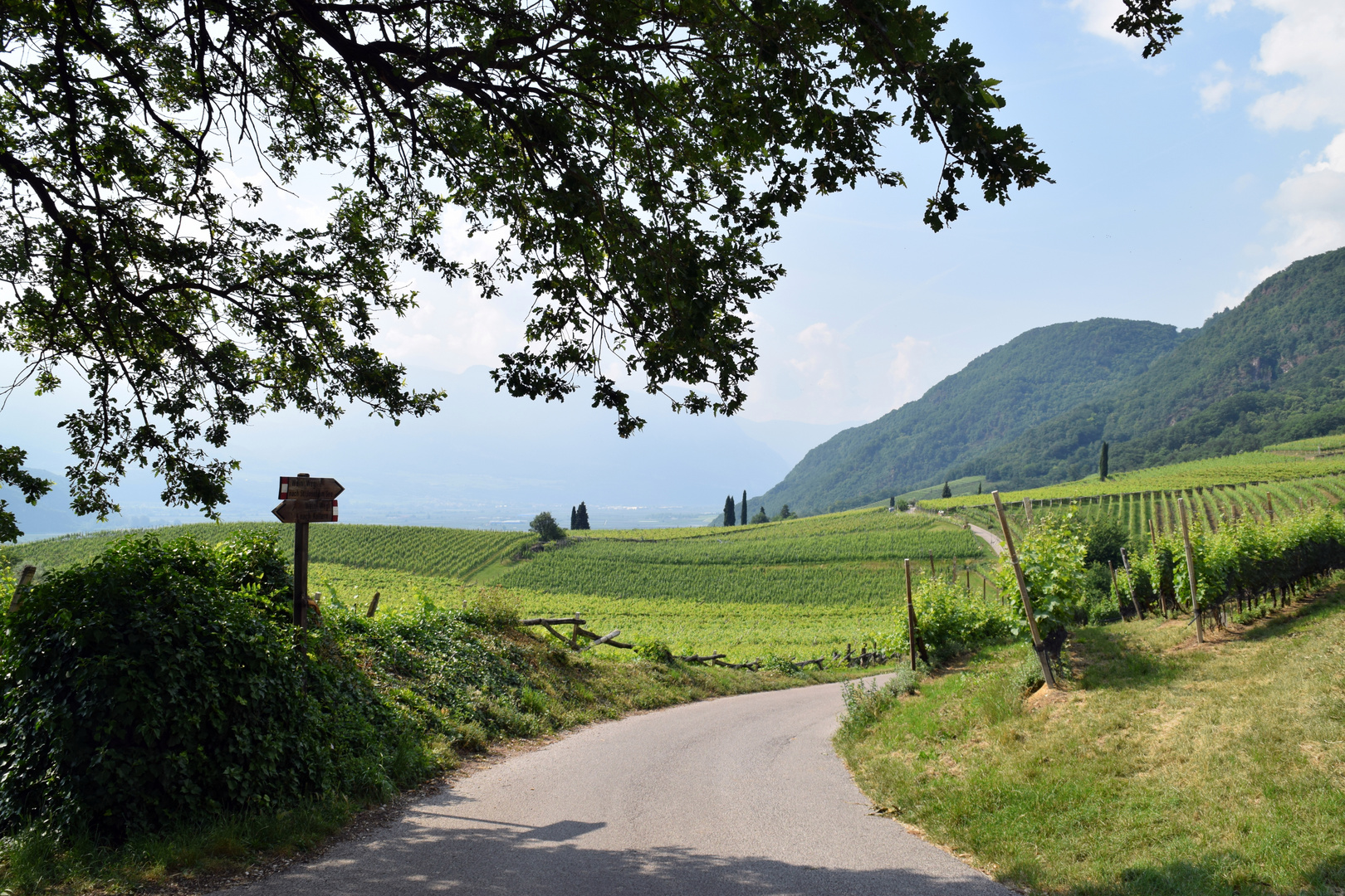 von Meran nach Kaltern