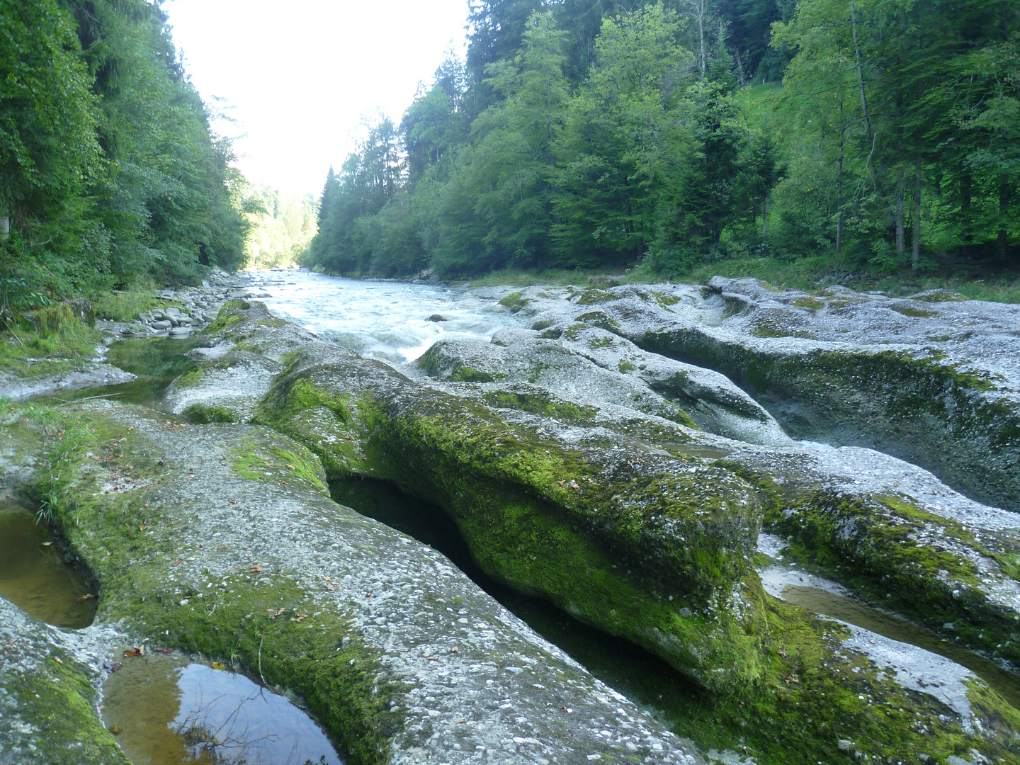 Von moosgem Stein