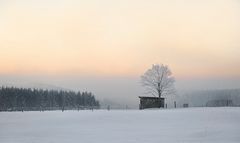 von Morgenglück und sanften Farben