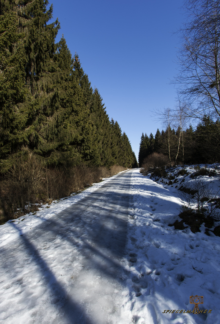 von mützenich durchs brackvenn.02