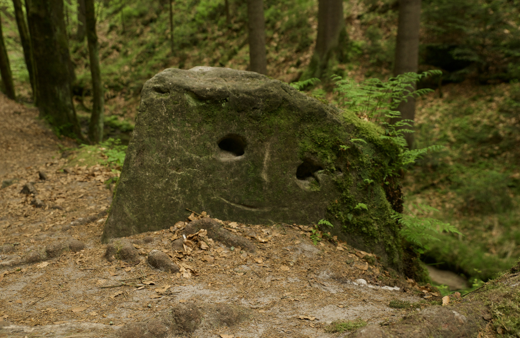 Von Natur geschaffen oder vom Menschen nachgeholfen? 