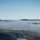 Von Nebel umschlossen