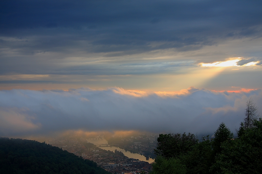 von Nebel zugedeckt