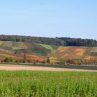 von Neipperg zum Hörnle