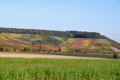 von Neipperg zum Hörnle