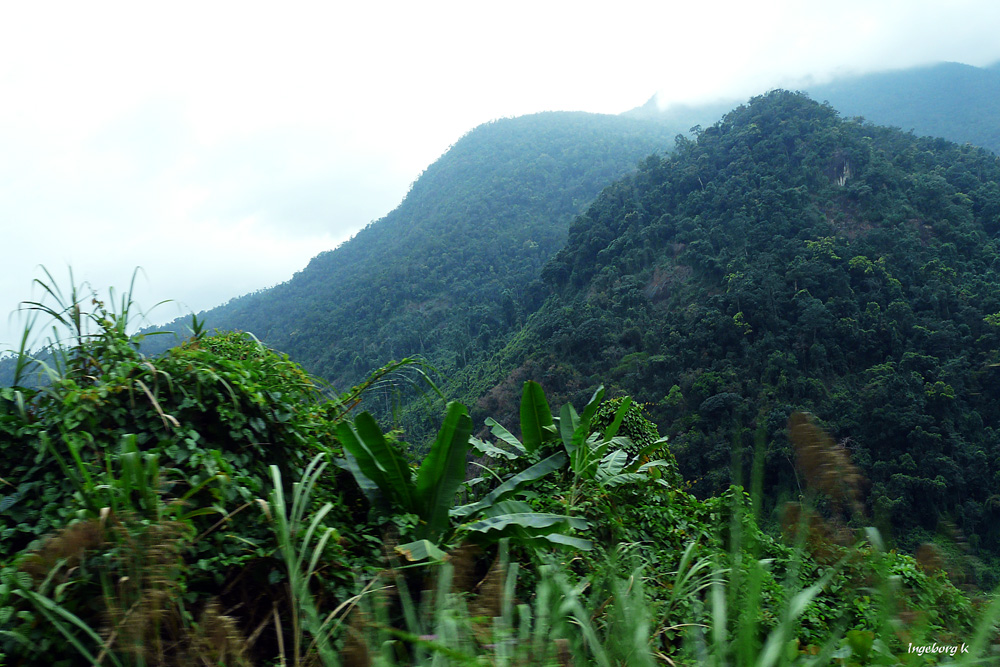 von Nha Trand nach Dalat - durch die im Dunst liegenden dicht bewachsenden Berge