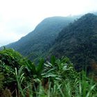 von Nha Trand nach Dalat - durch die im Dunst liegenden dicht bewachsenden Berge