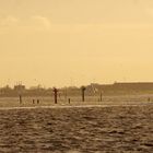 von Norderney nach Norddeich