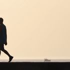 Von nun an gehen wir getrennte Wege …