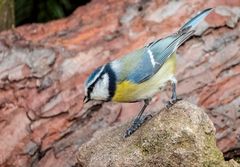 "Von nun ging's noch schneller Bergab"