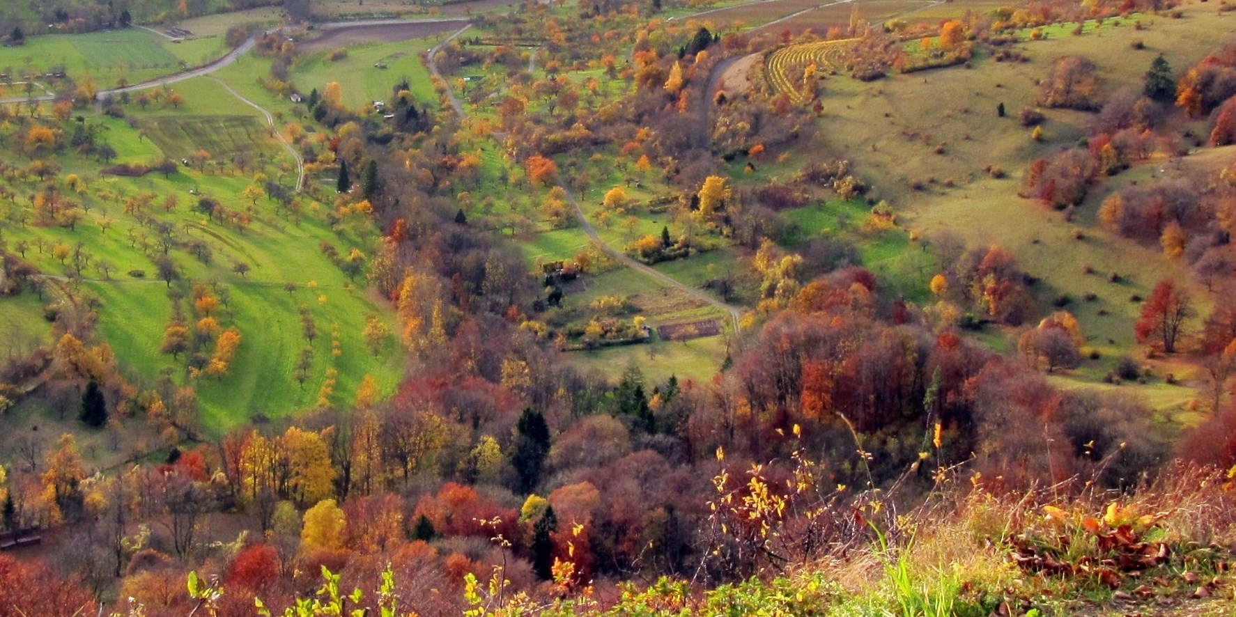 von oben betrachtet, der Herbst in seinen Farben