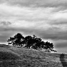 von Oben der weite Blick übers Land