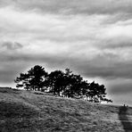 von Oben der weite Blick übers Land