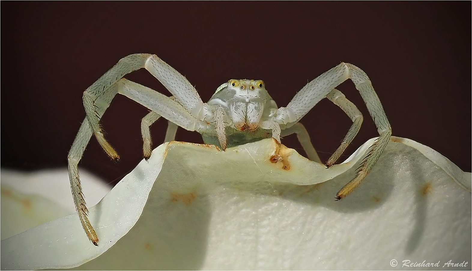 Von oben herab... Foto & Bild fotos, natur, olympus Bilder auf