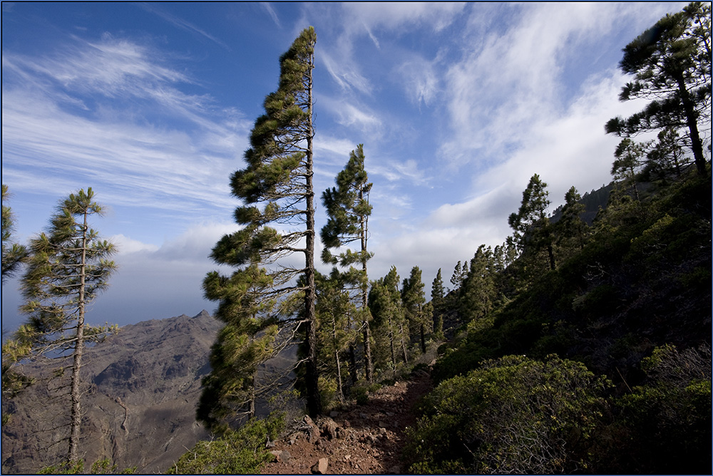 von oben ist la Gomera