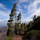 von oben ist la Gomera