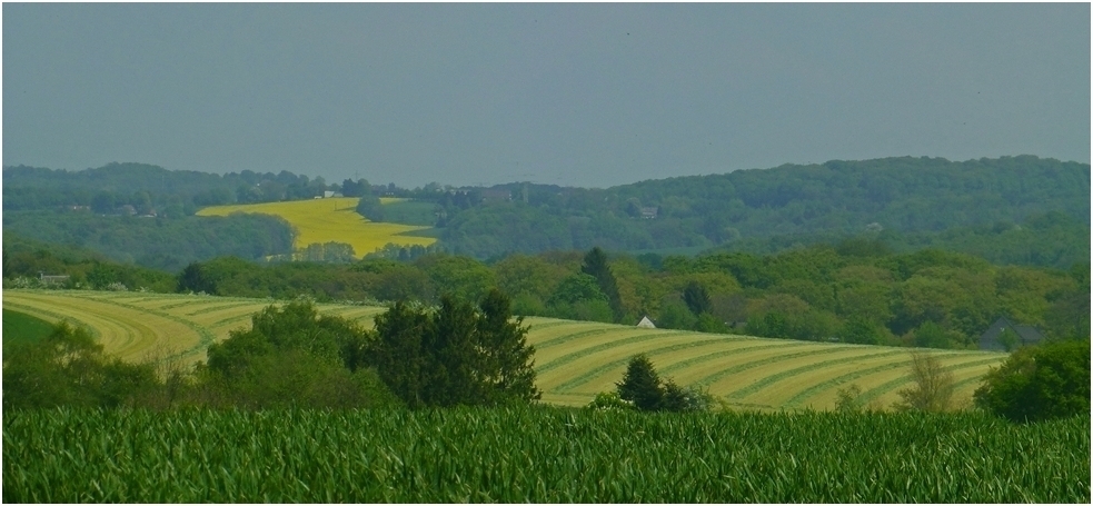 Von Obermettmann bis Wülfrath-Düssel....