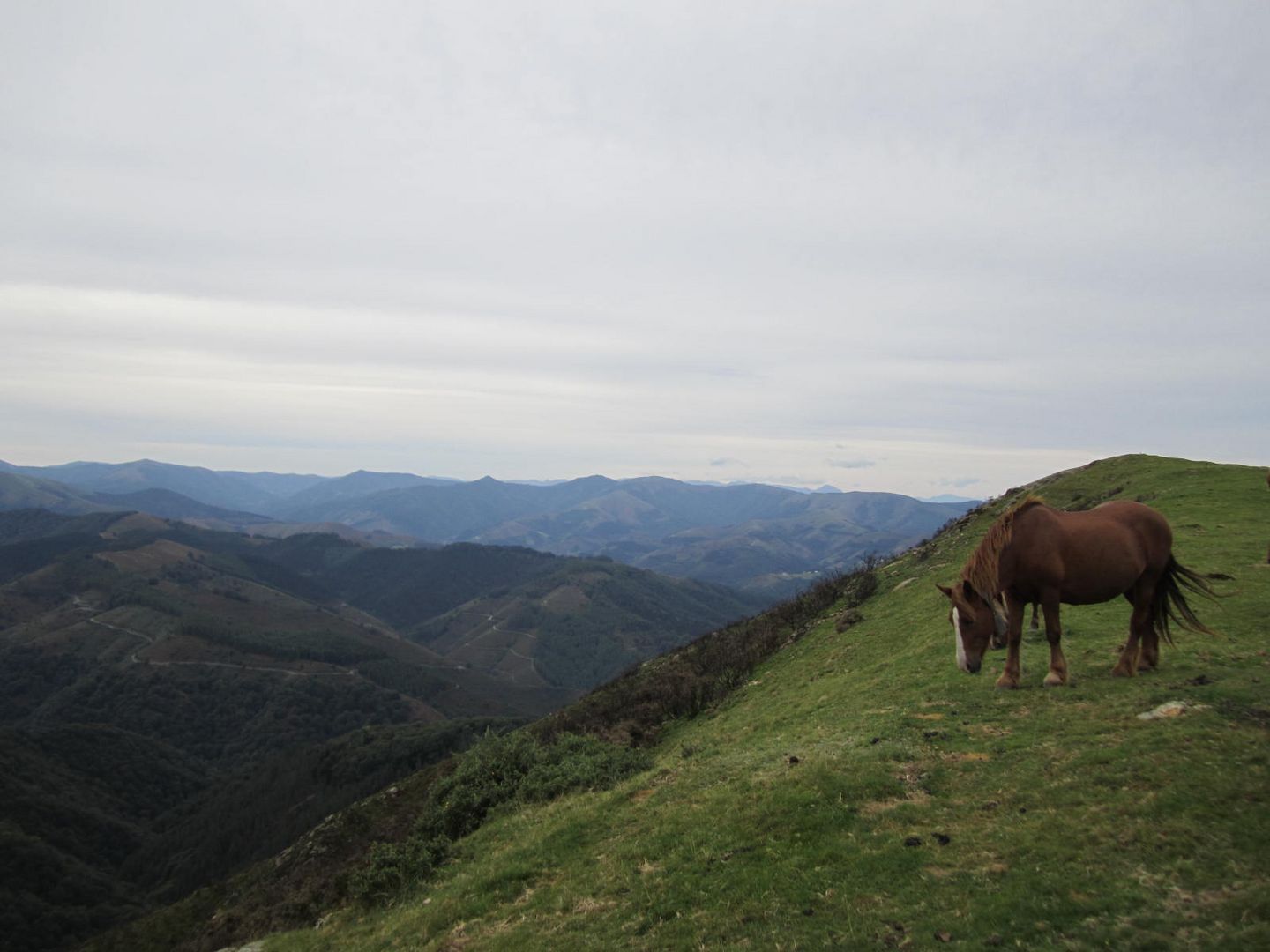 Von Pamplona nach Burgos 11.09.2011